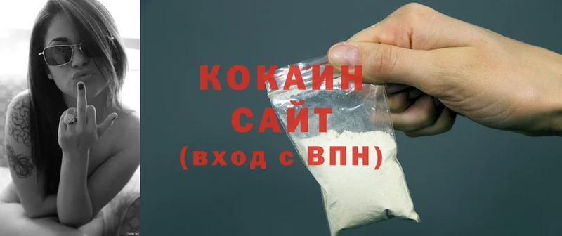 нарко площадка формула  Мензелинск  Cocaine Fish Scale 